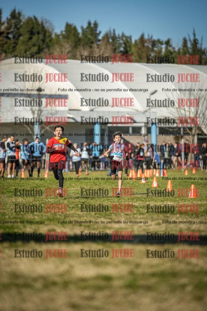Fotos de las llegadas