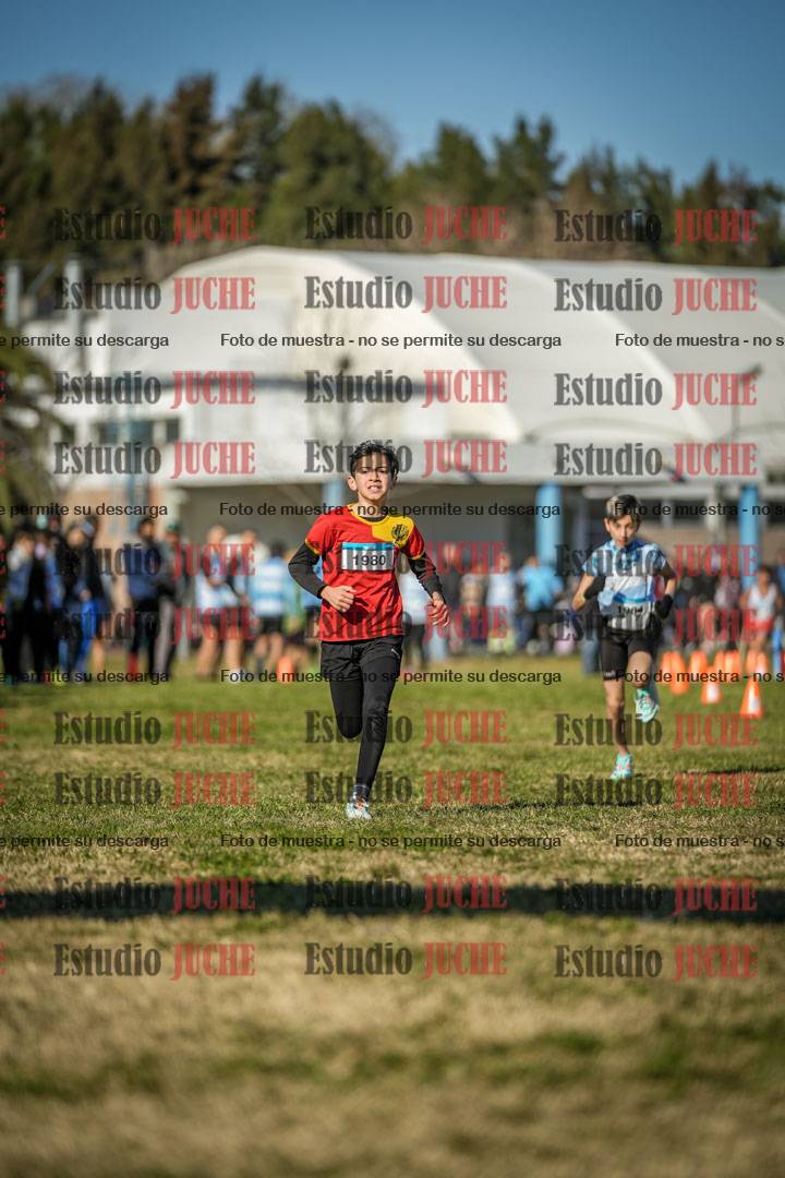 Fotos de las llegadas