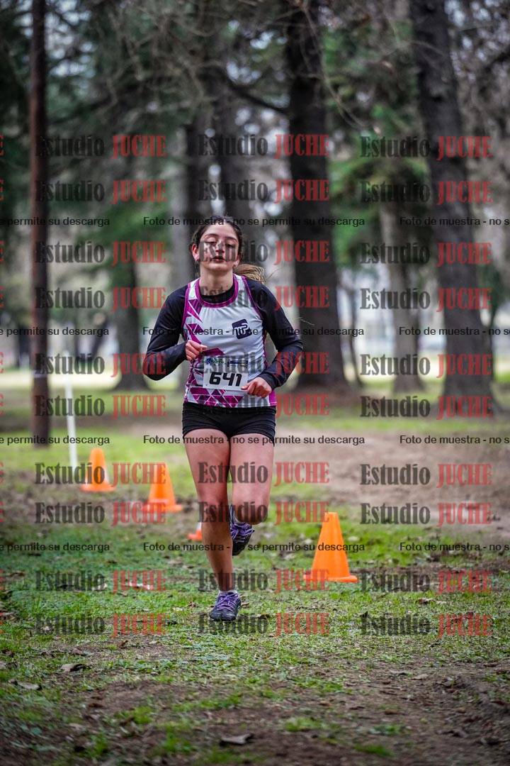 Fotos en el circuito
