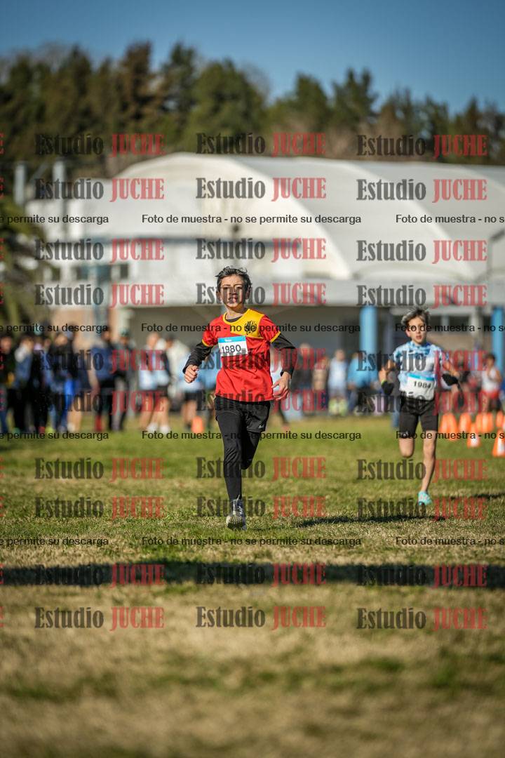 Fotos de las llegadas