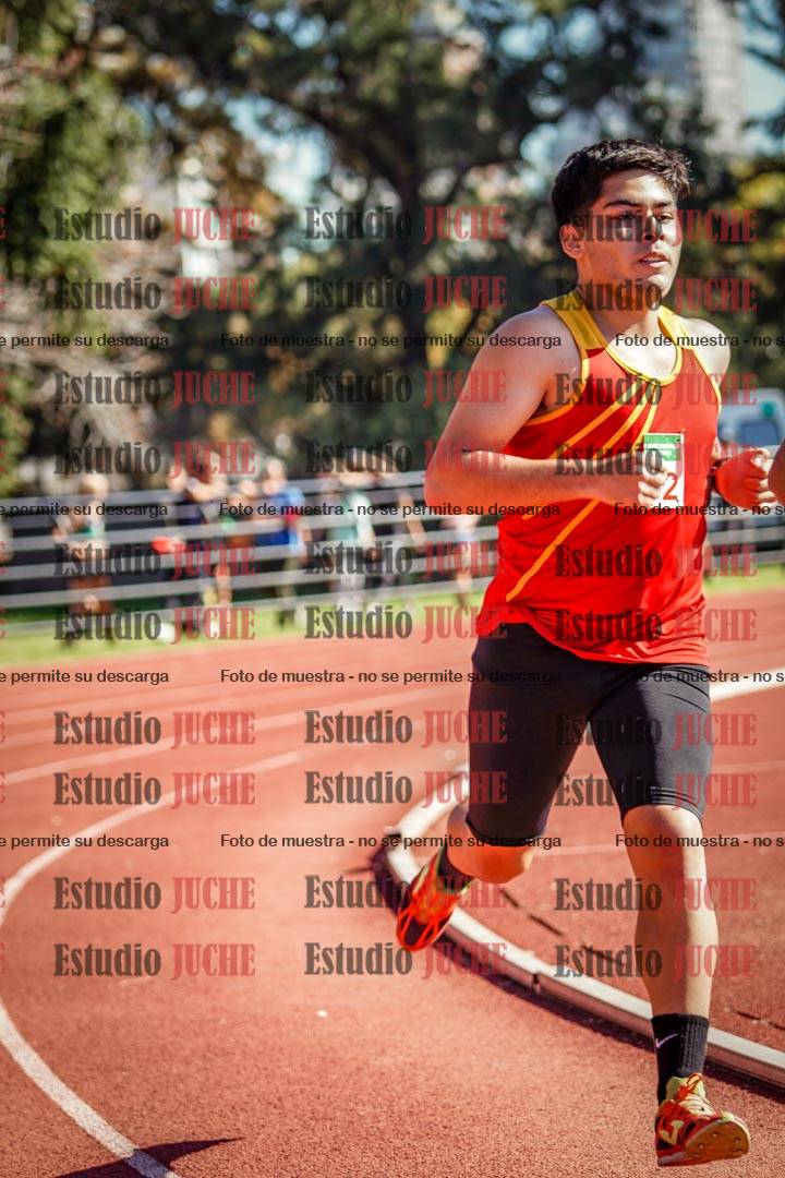 Fotos de los 800 m llanos de varones