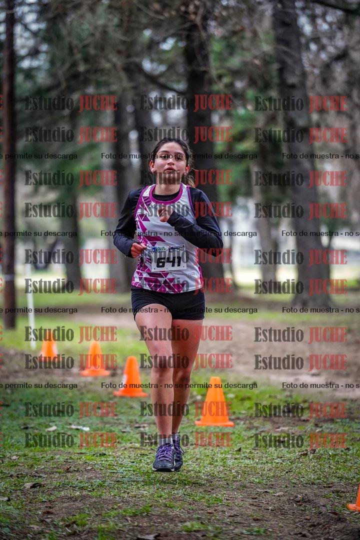 Fotos en el circuito