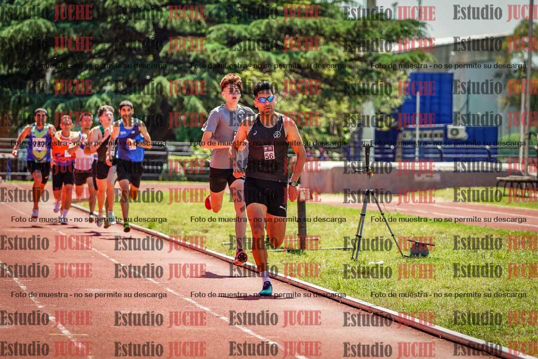 Fotos de los 800 m llanos de varones