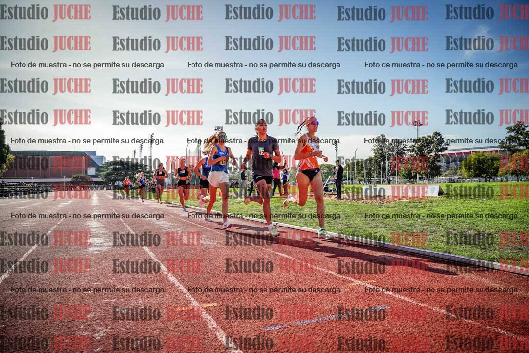 Fotos de los 800 m llanos de mujeres