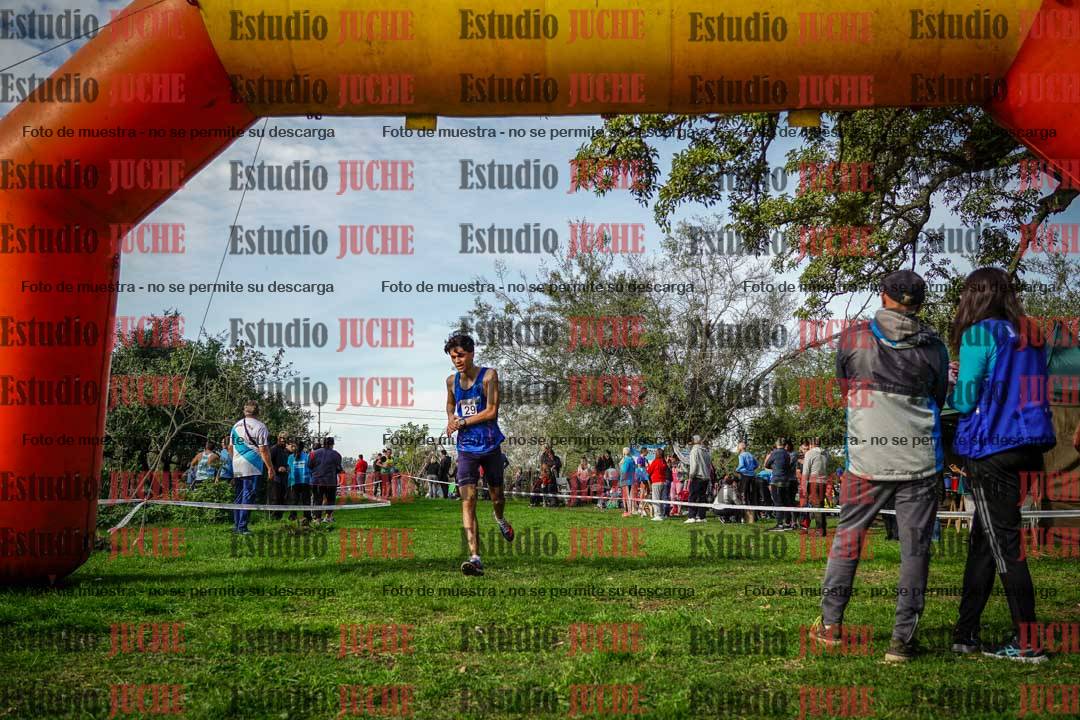 Fotos de la llegada del cross de 6000 m