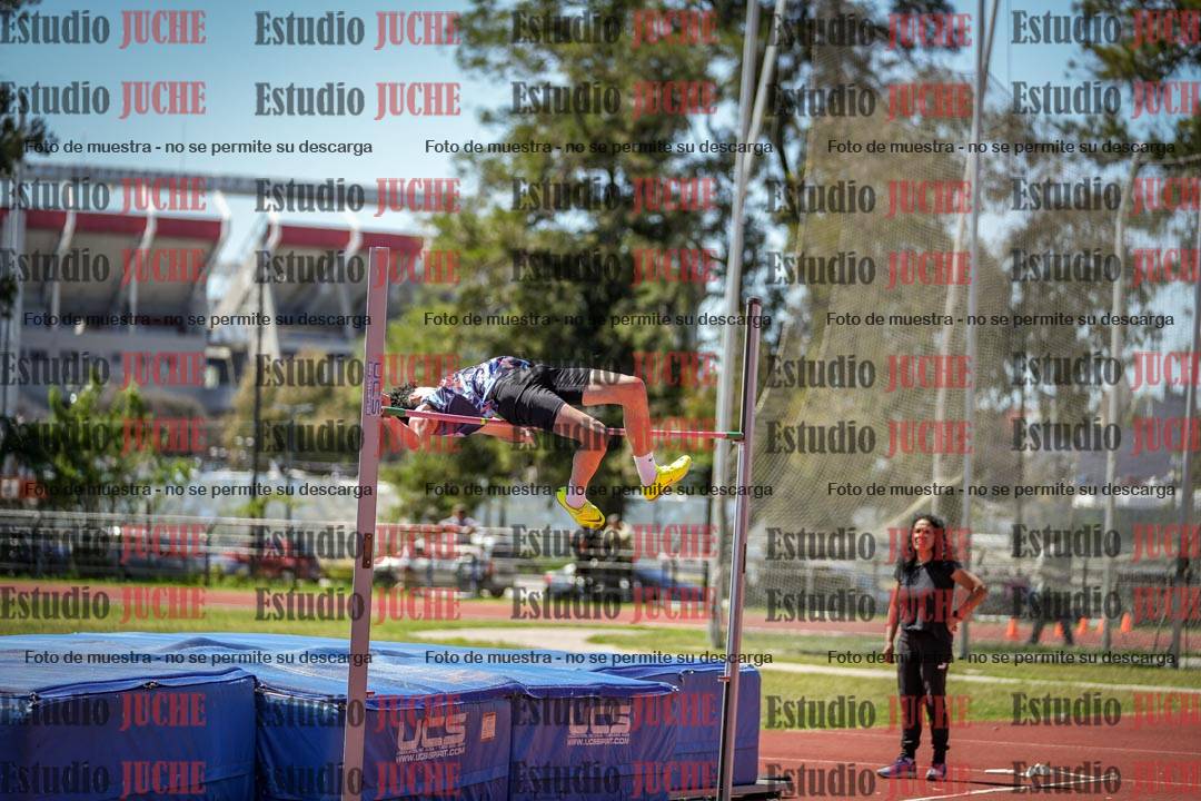 Fotos del salto en alto de varones