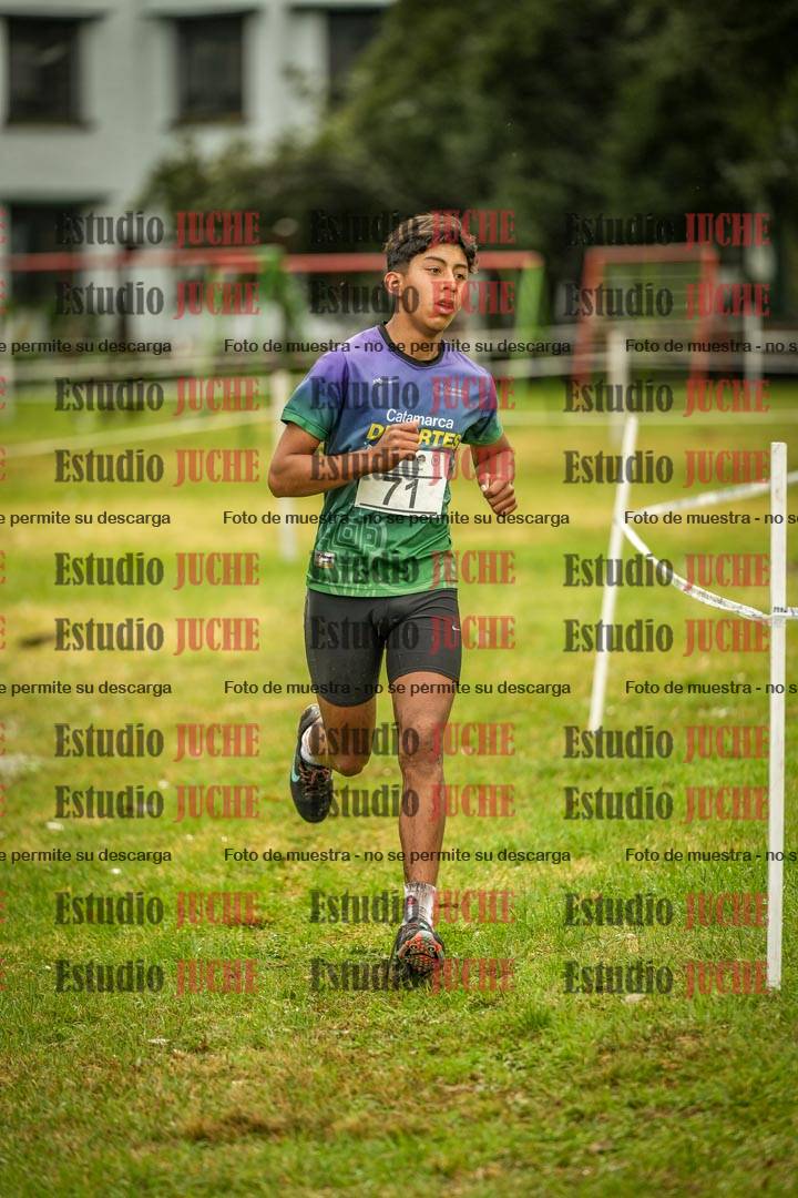 Fotos en el circuito