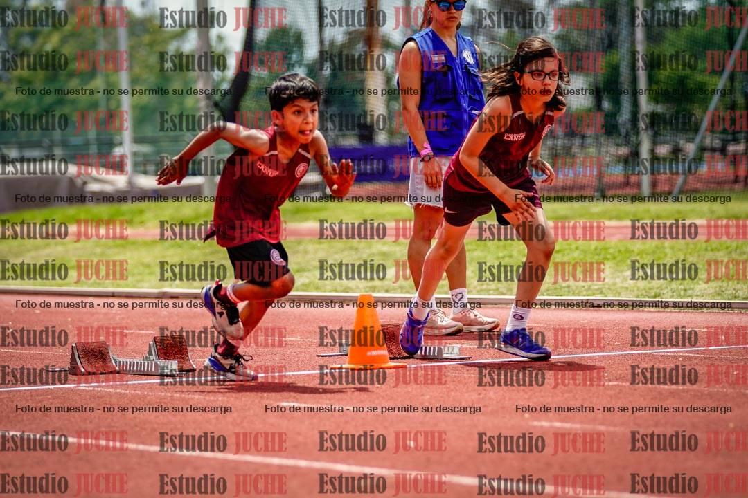 Fotos de los 60 m con vallas de varones
