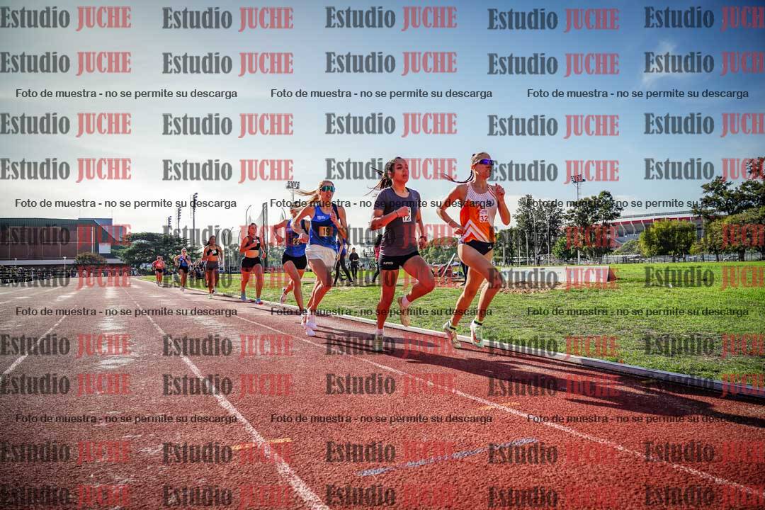 Fotos de los 800 m llanos de mujeres