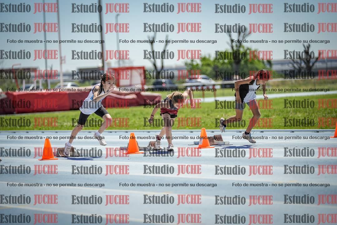 Fotos de los 60 m con vallas de mujeres