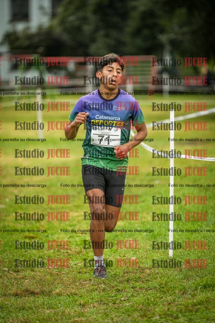 Fotos en el circuito