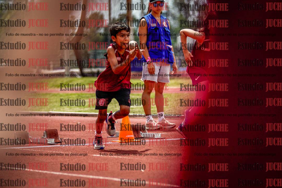 Fotos de los 60 m con vallas de varones
