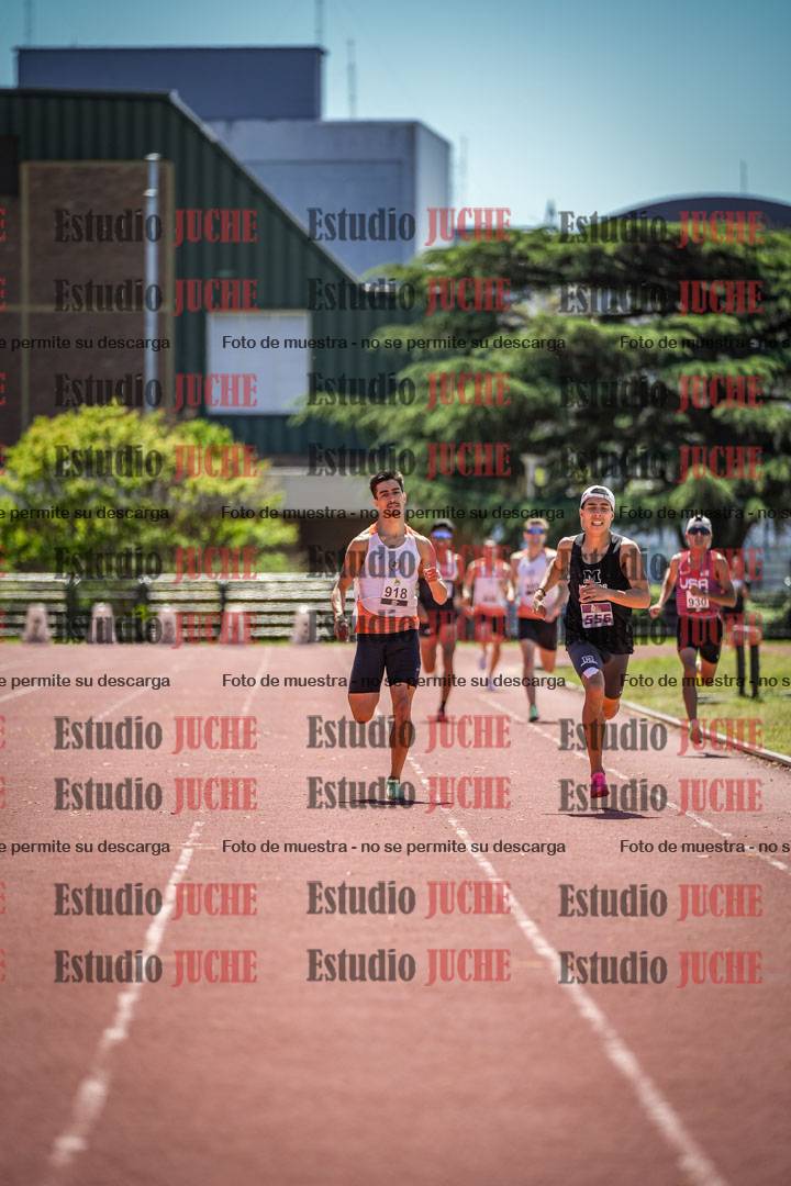 Fotos de los 800 m llanos de varones