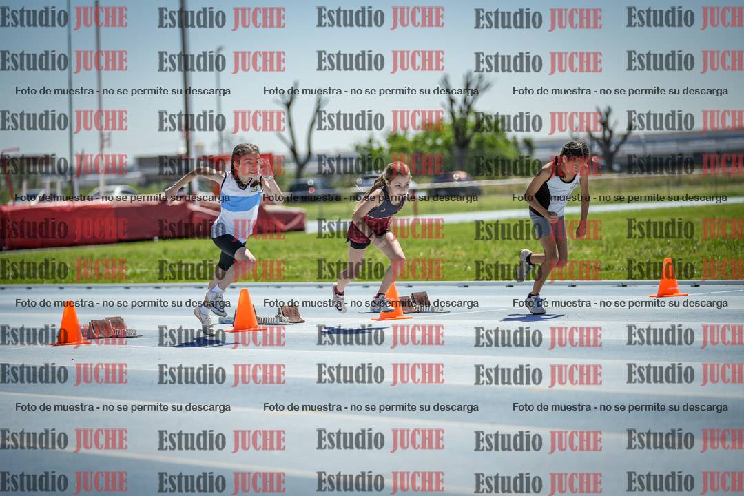 Fotos de los 60 m con vallas de mujeres