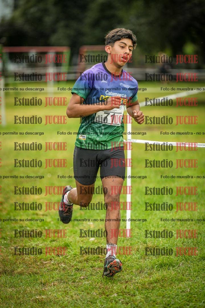 Fotos en el circuito