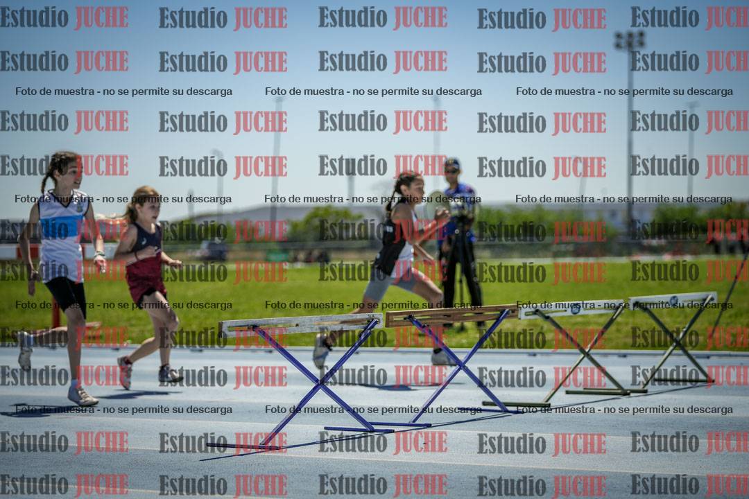 Fotos de los 60 m con vallas de mujeres