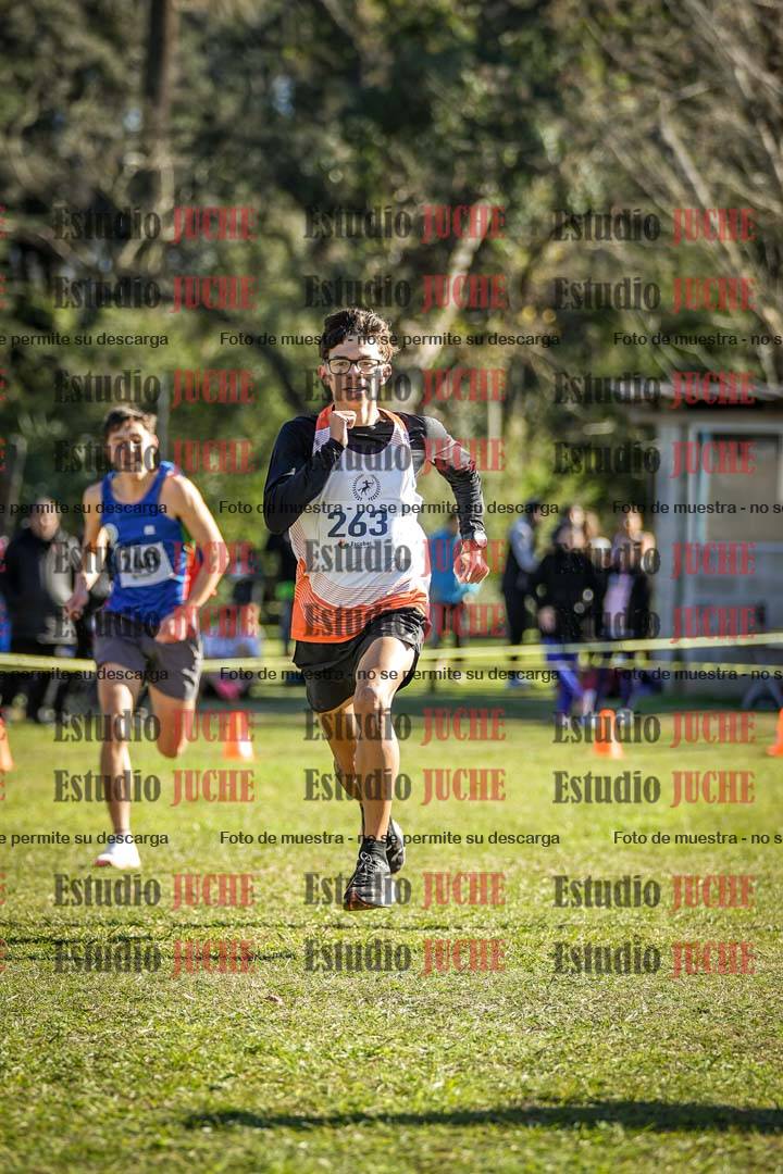 Fotos de la llegada del cross de 6000 m