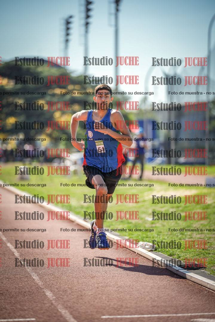 Fotos de los 800 m llanos de varones