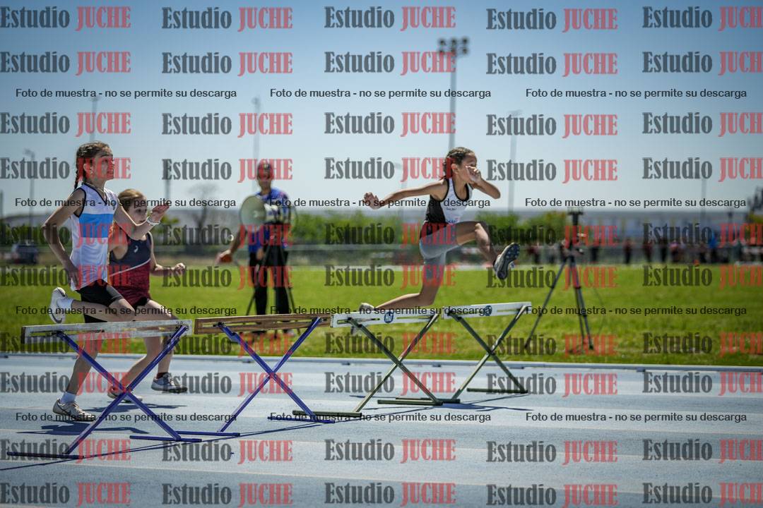 Fotos de los 60 m con vallas de mujeres