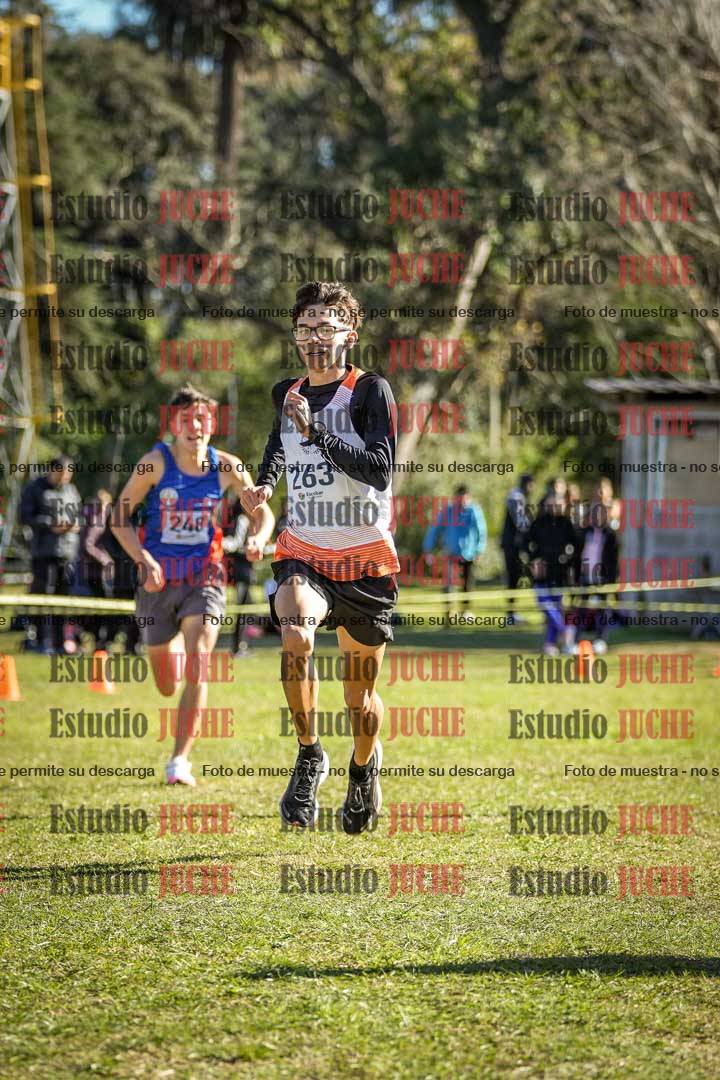 Fotos de la llegada del cross de 6000 m