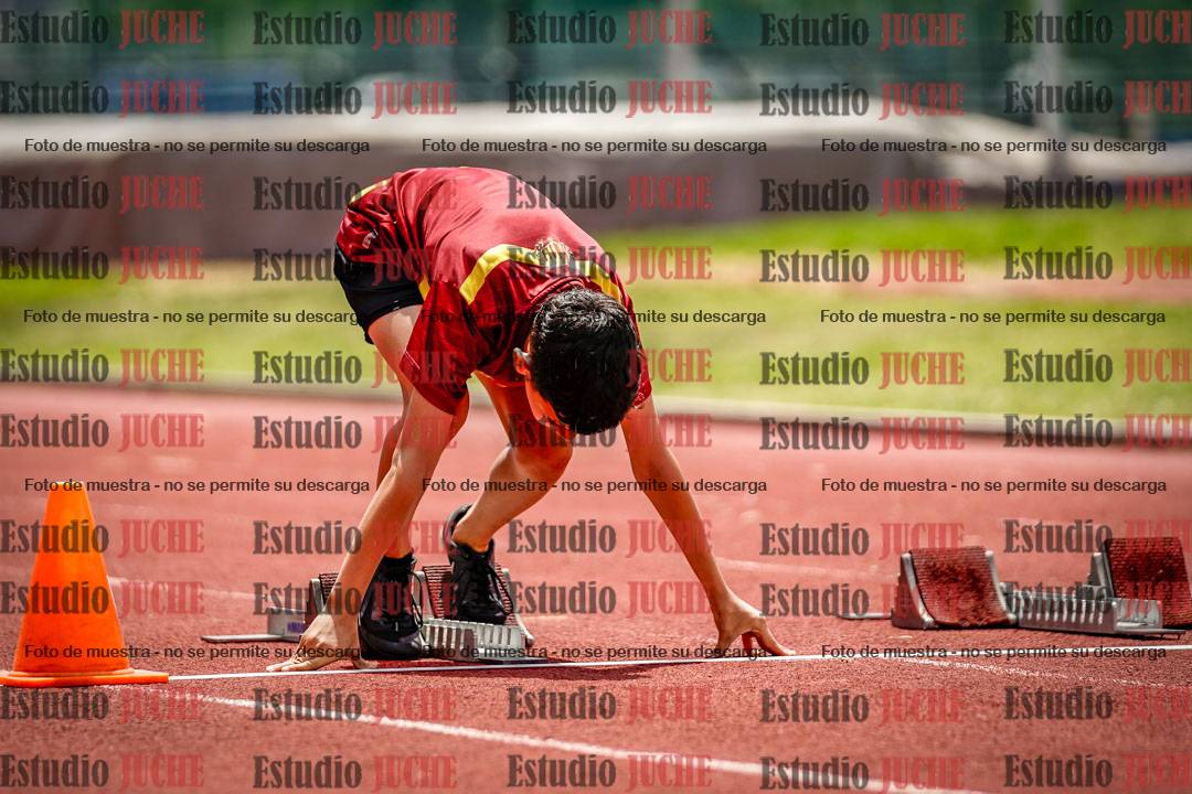 Fotos de los 60 m con vallas de varones