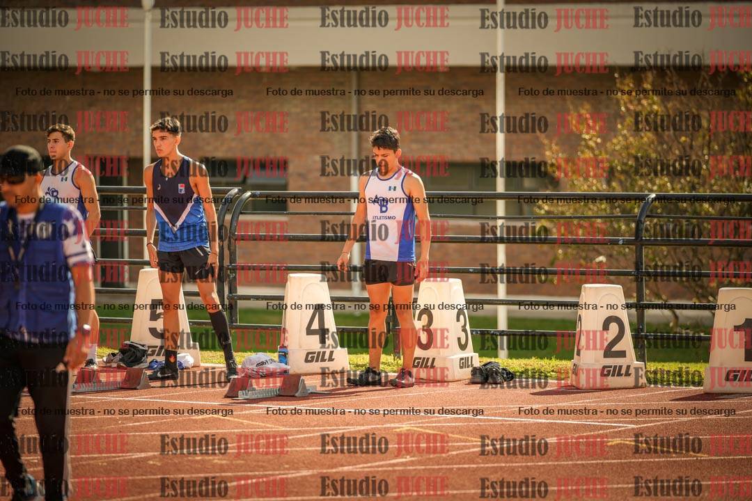 Fotos de los 110 m con vallas de varones