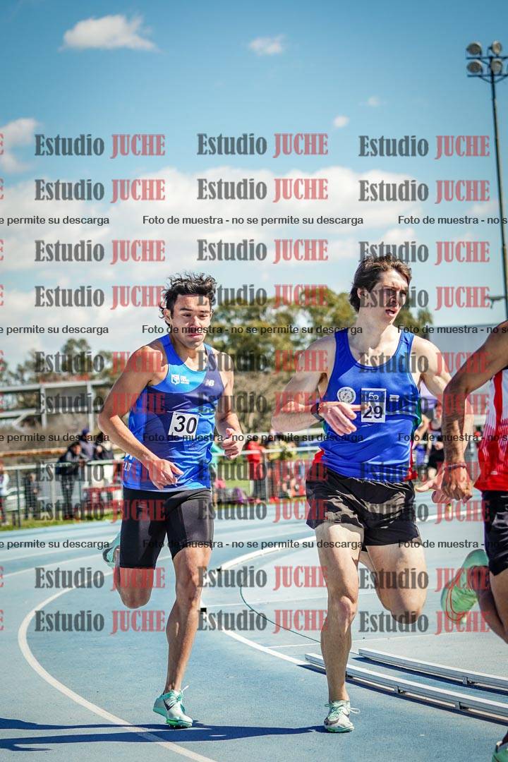 Fotos de los 800 m llanos de varones