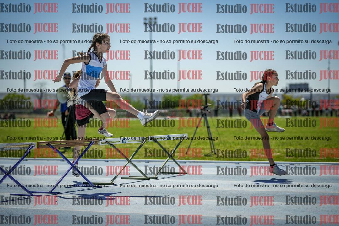 Fotos de los 60 m con vallas de mujeres