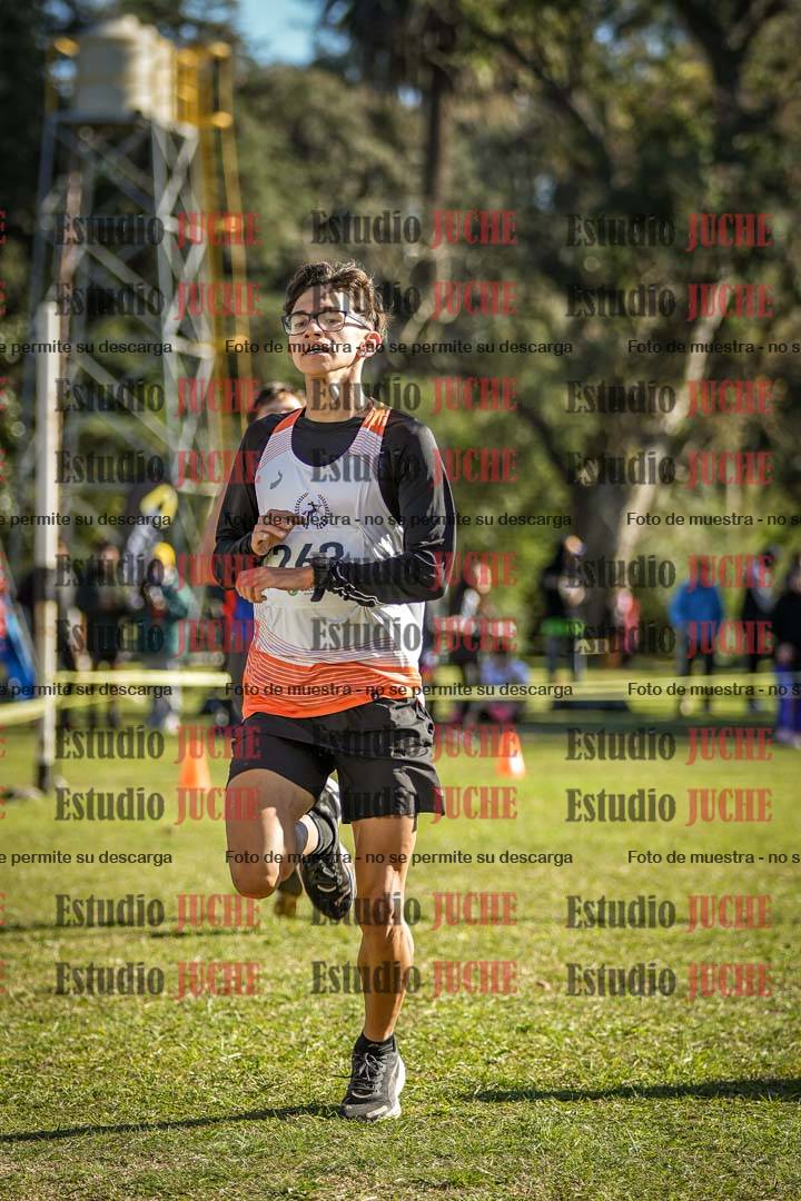 Fotos de la llegada del cross de 6000 m