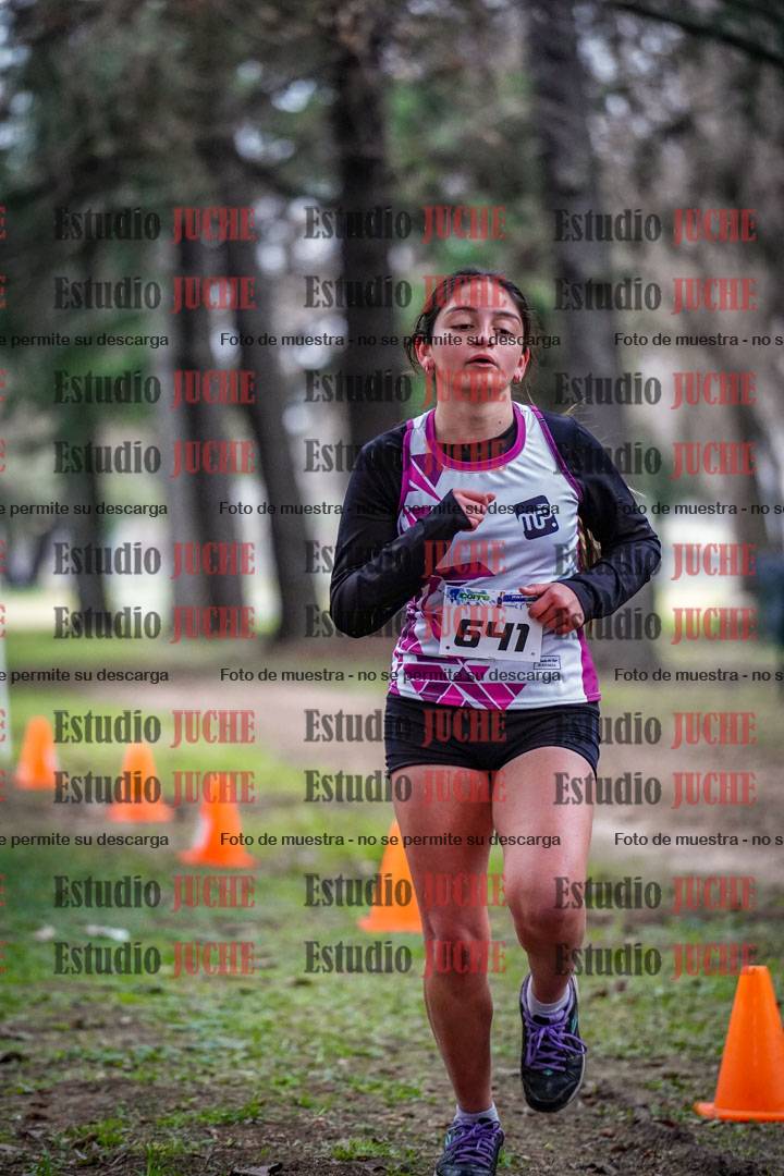 Fotos en el circuito