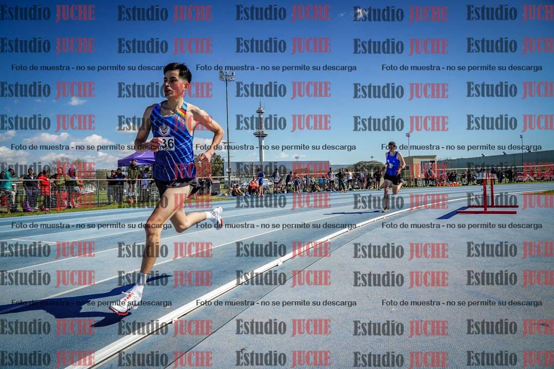 Fotos de los 800 m llanos de varones
