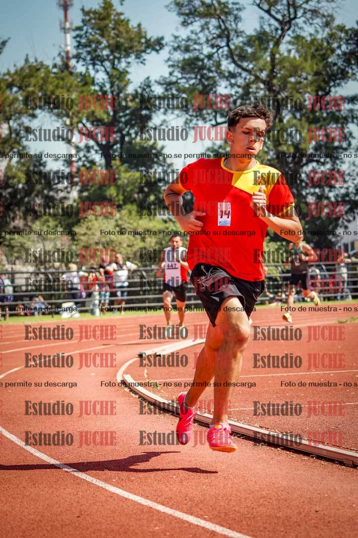 Fotos de los 800 m llanos de varones