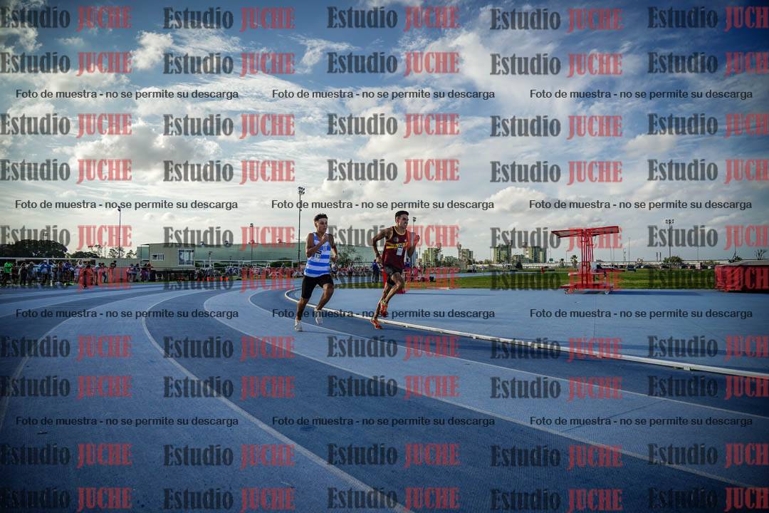 Fotos de los 800 m llanos de varones