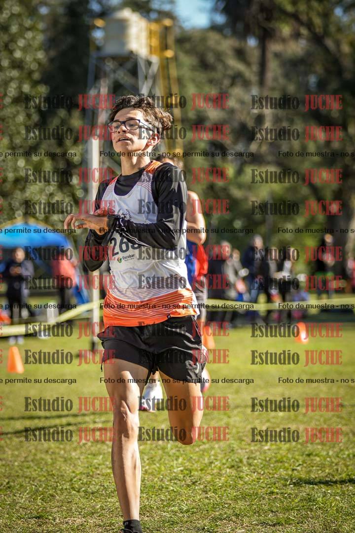 Fotos de la llegada del cross de 6000 m