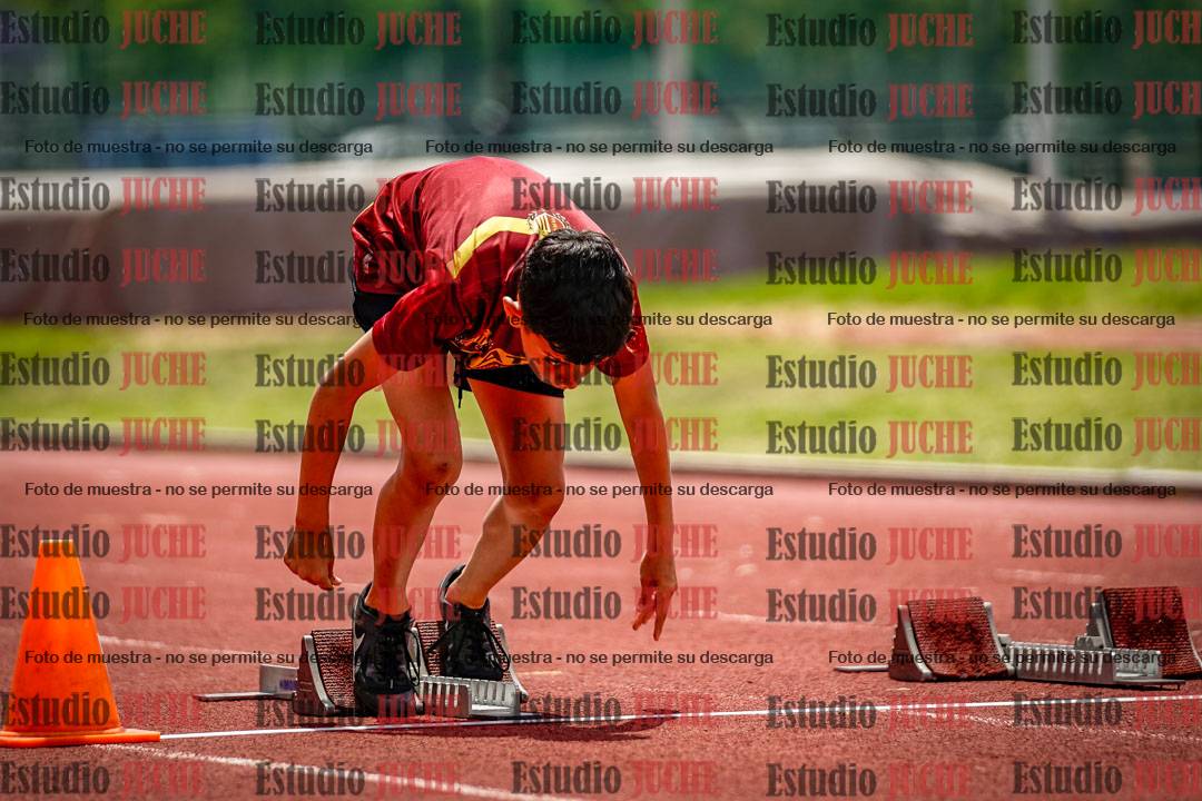 Fotos de los 60 m con vallas de varones