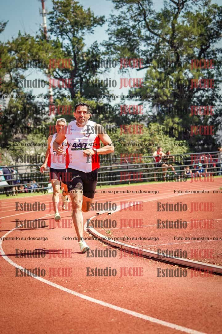 Fotos de los 800 m llanos de varones