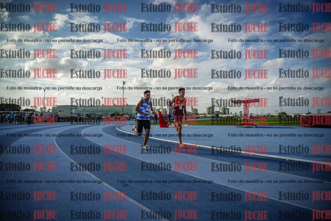 Fotos de los 800 m llanos de varones