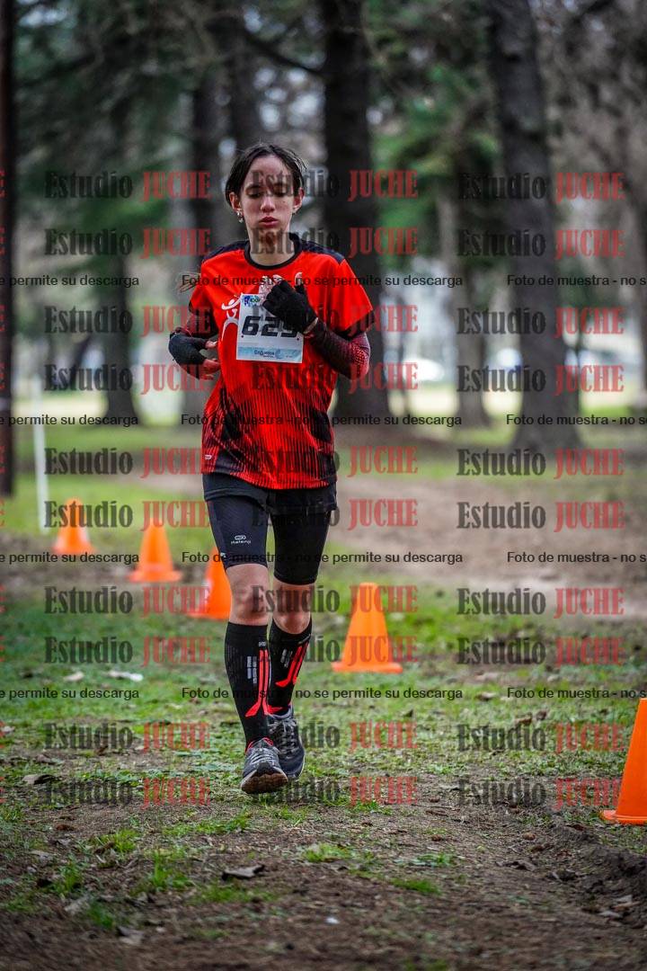 Fotos en el circuito