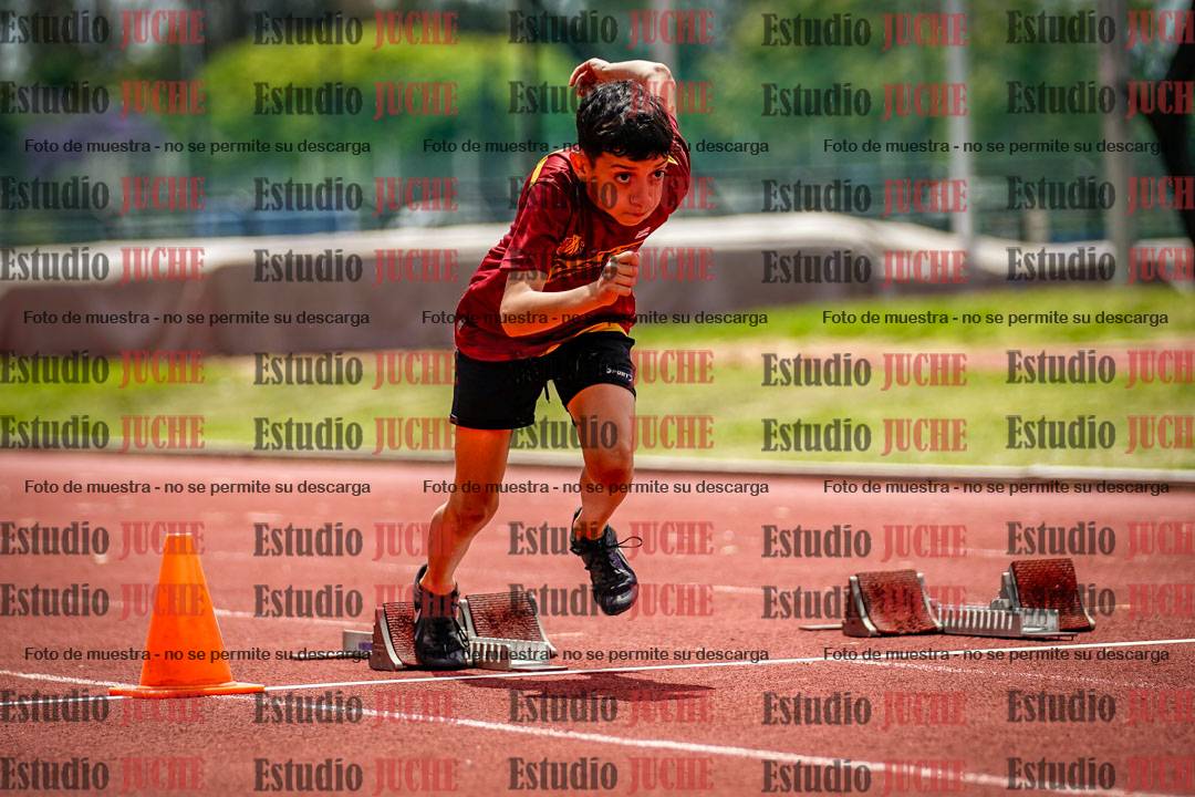 Fotos de los 60 m con vallas de varones