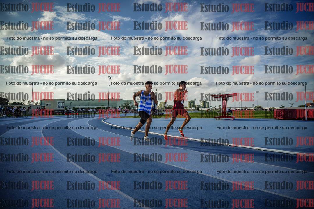 Fotos de los 800 m llanos de varones