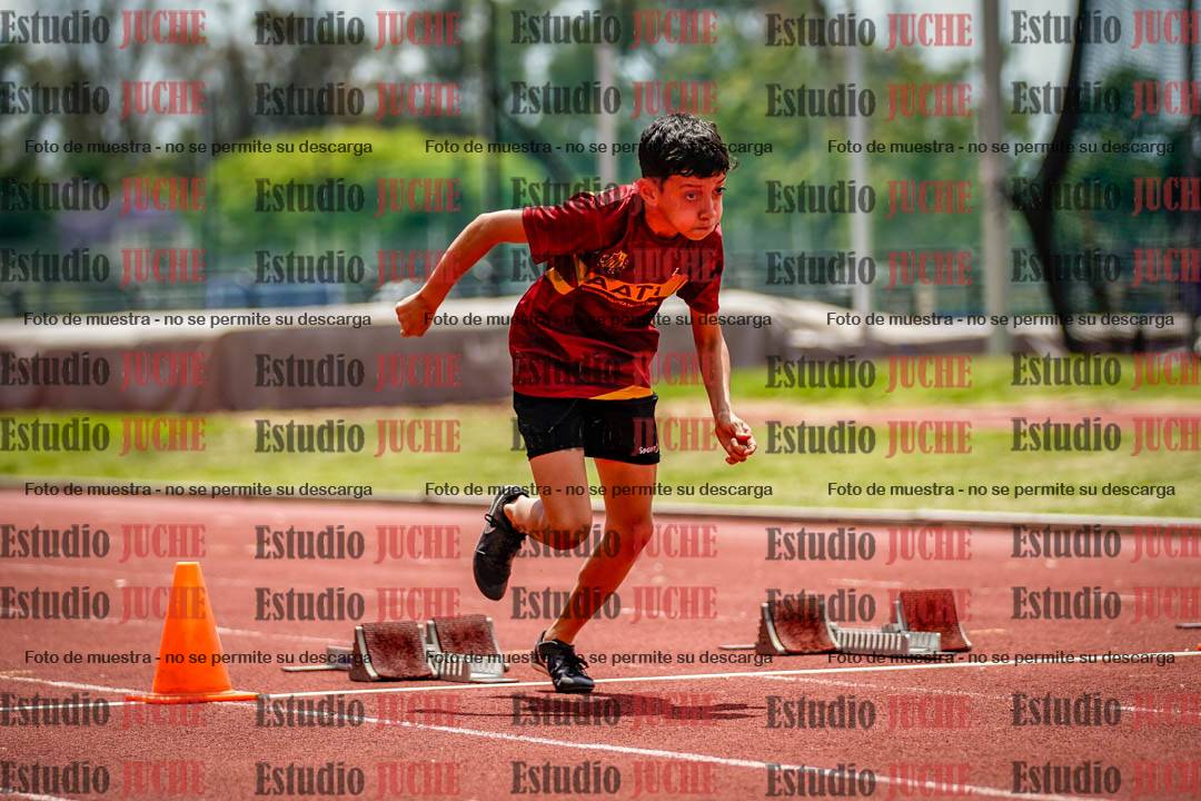 Fotos de los 60 m con vallas de varones