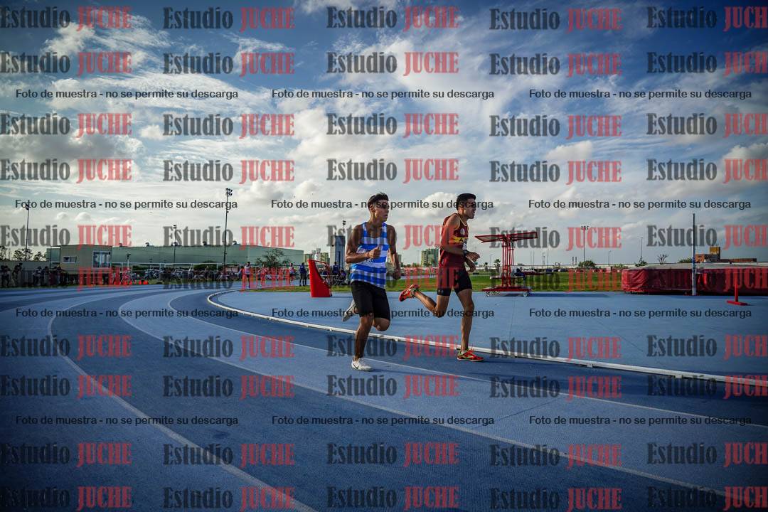 Fotos de los 800 m llanos de varones
