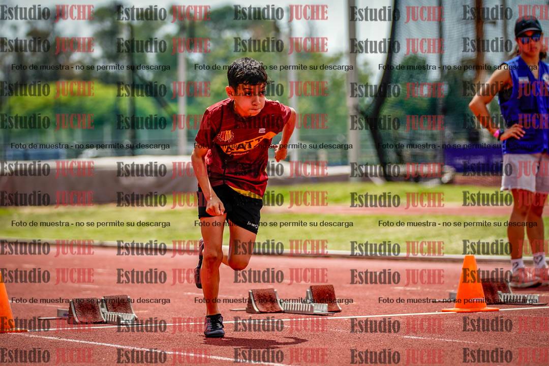 Fotos de los 60 m con vallas de varones