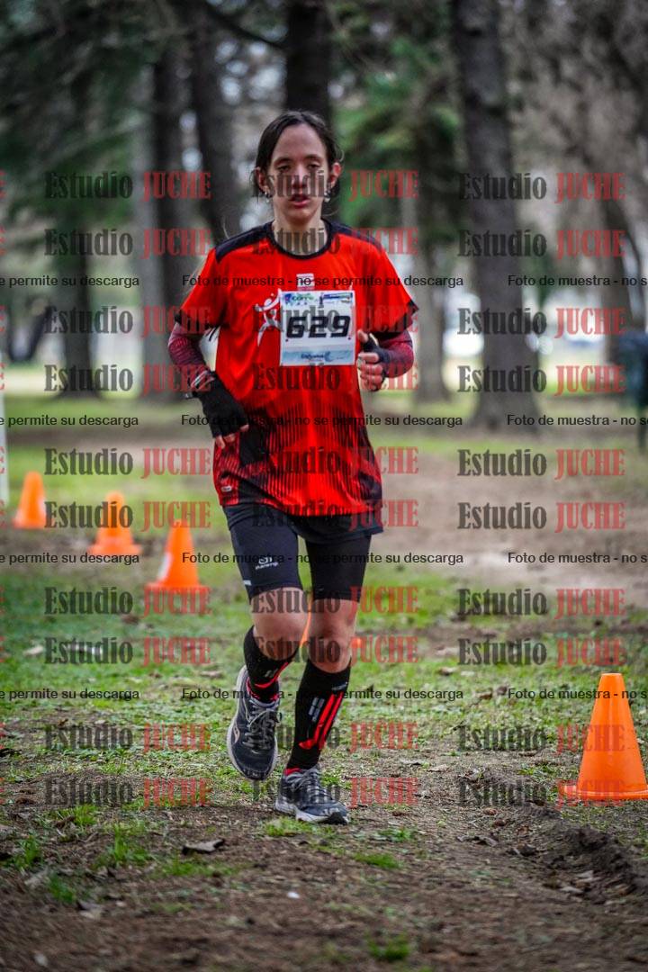 Fotos en el circuito