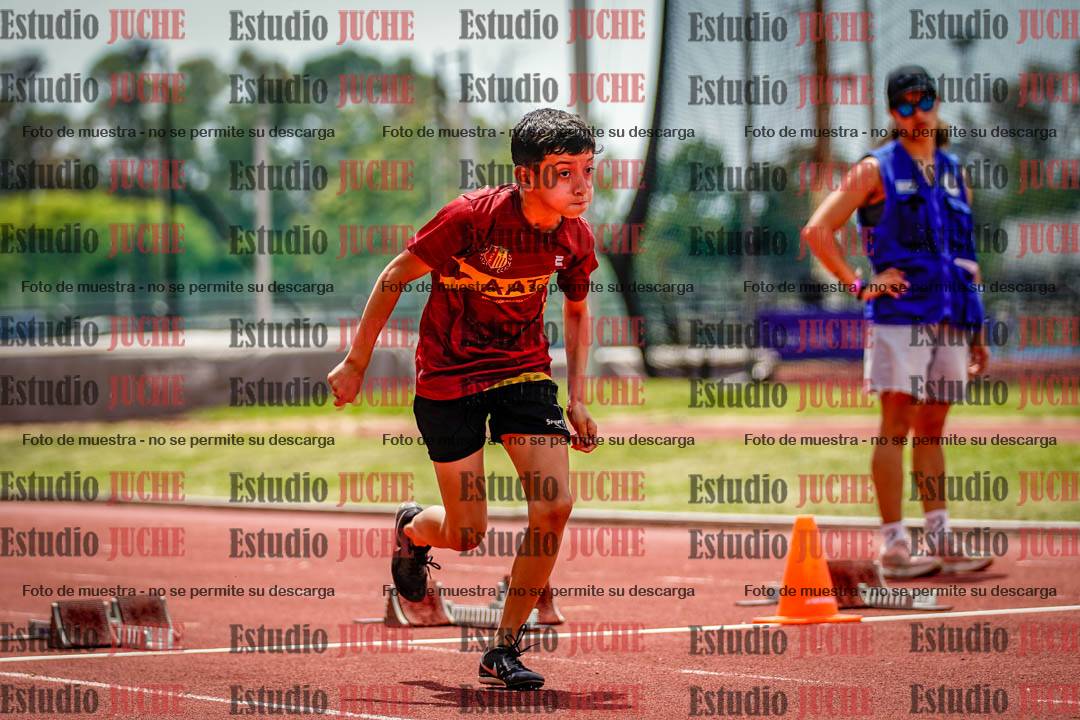Fotos de los 60 m con vallas de varones