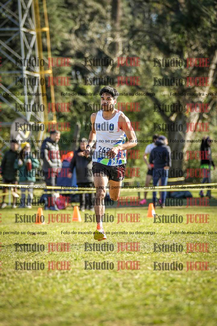 Fotos de la llegada del cross de 6000 m