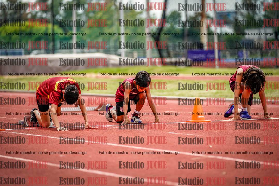 Fotos de los 60 m con vallas de varones