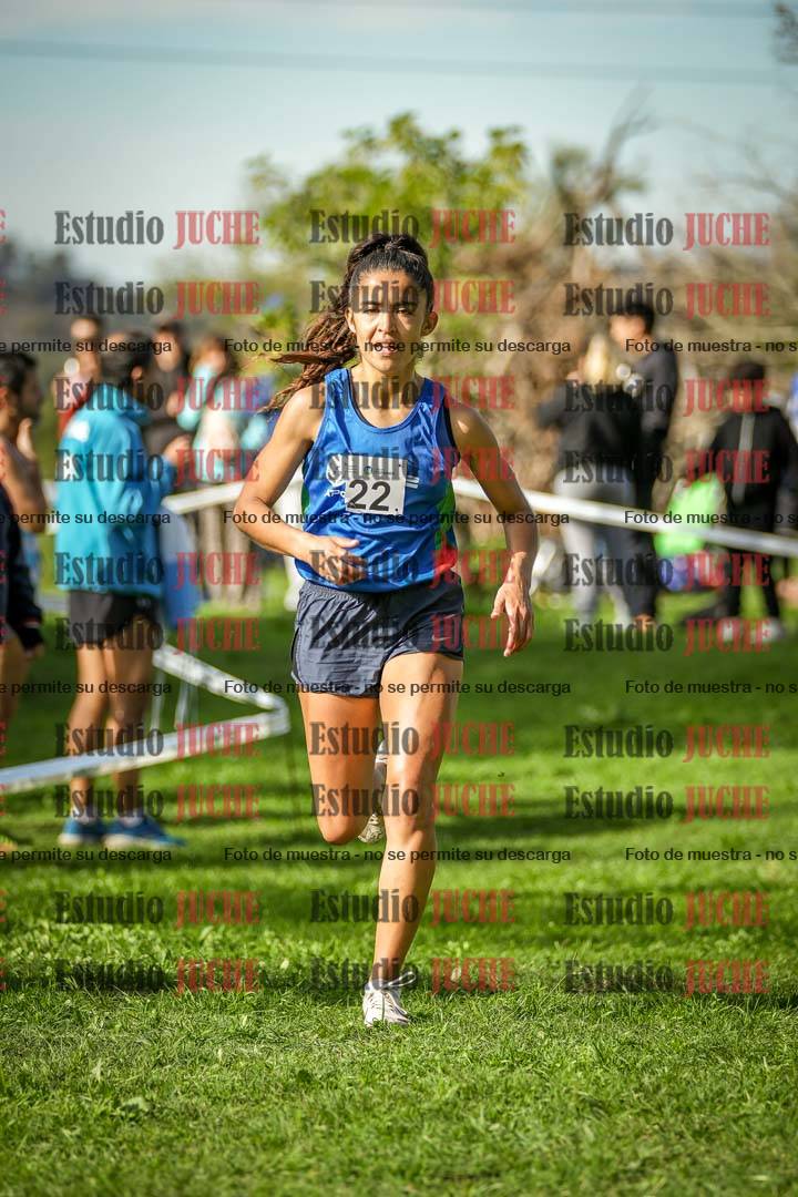 Fotos de la llegada del cross de 6000 m