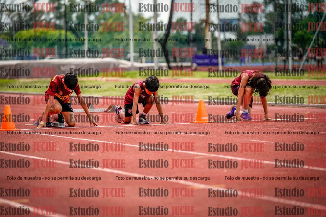 Fotos de los 60 m con vallas de varones