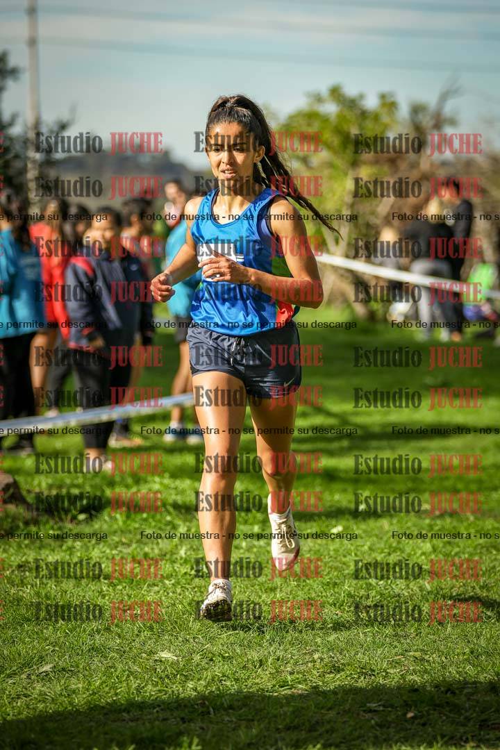Fotos de la llegada del cross de 6000 m
